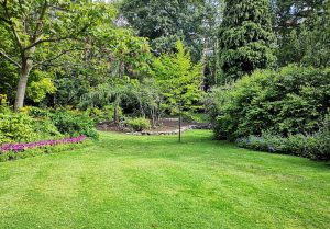 Optimiser l'expérience du jardin à Fere-Champenoise